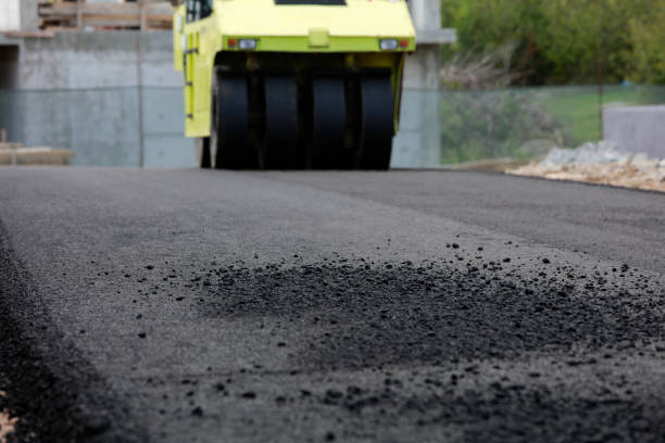 Best Custom Driveway Pavers  in Rome, NY